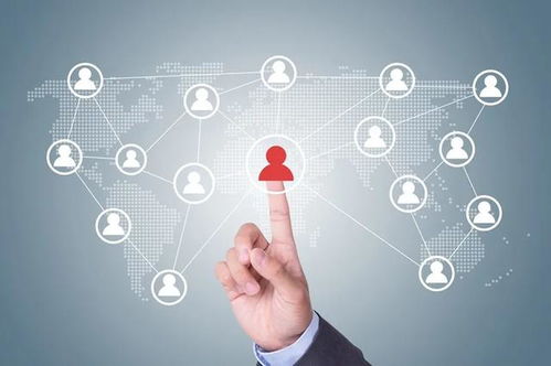 代码为犁，编织未来 一位技术开发者的自白